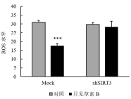 1646107139723005.png image.png